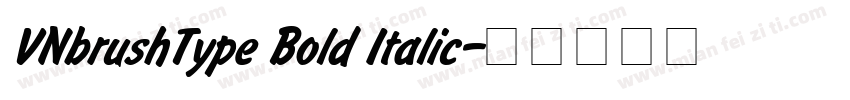 VNbrushType Bold Italic字体转换